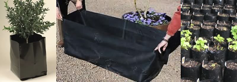Images Of Plants In Black Bag & Hands Holding A Rectangular Planter Bag