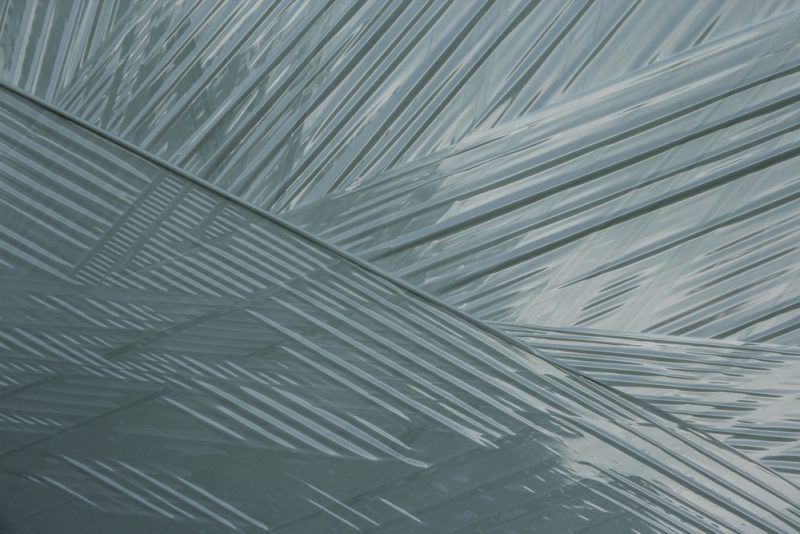 Dolphin Plastic and Packaging Products – An Overview